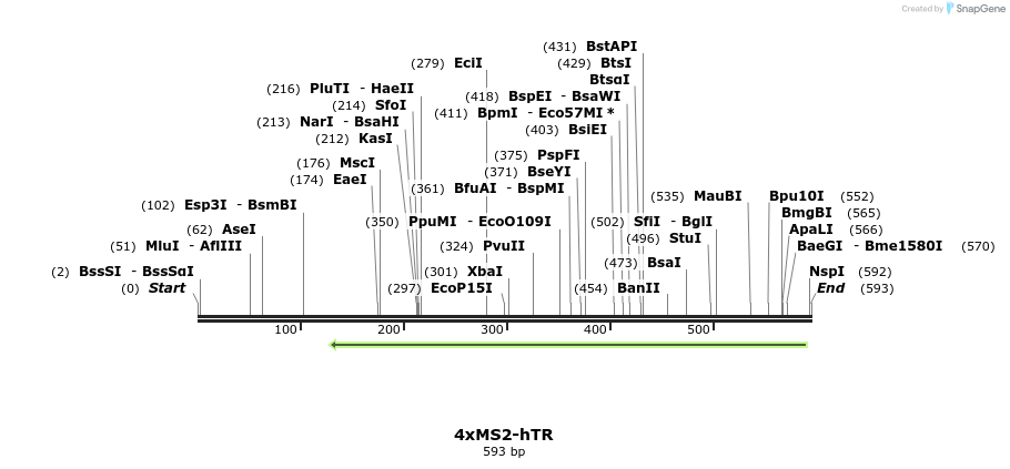 299888_map