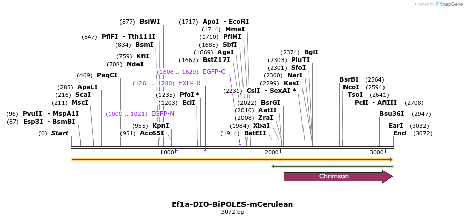 299898_map