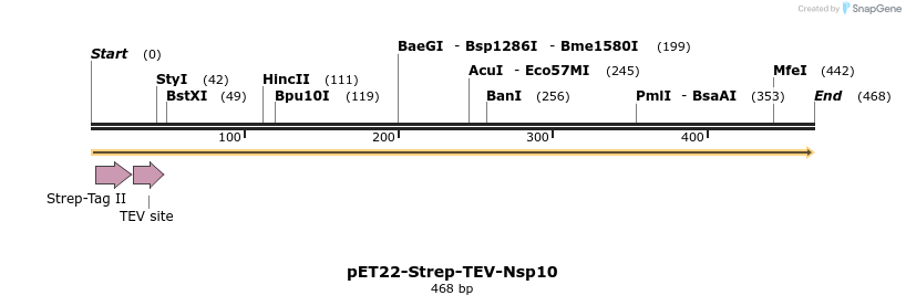 299921_map