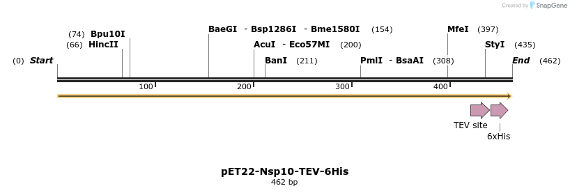 299925_map