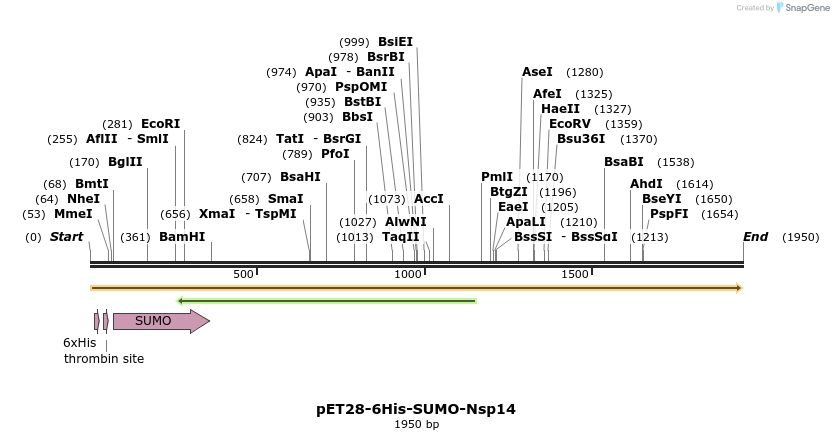 299935_map