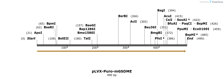 299952_map