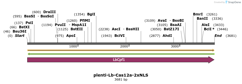 300000_map