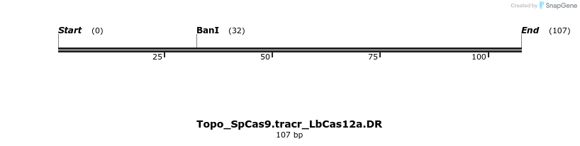 300005_map