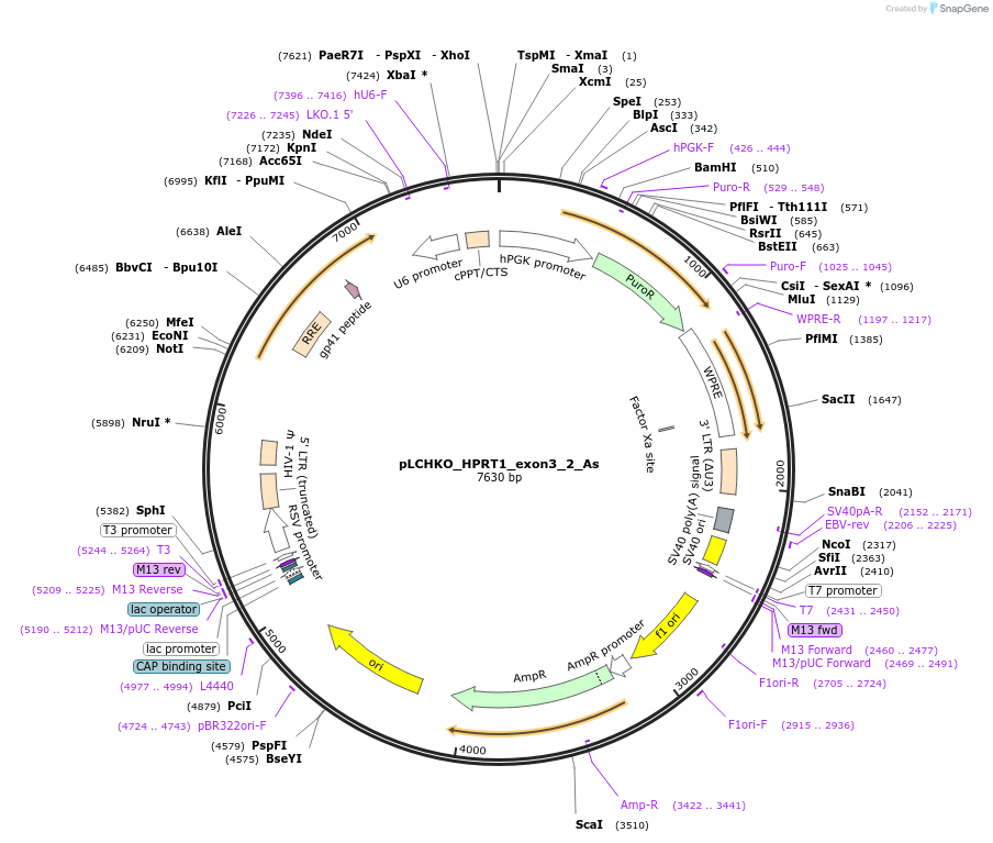 300015_map