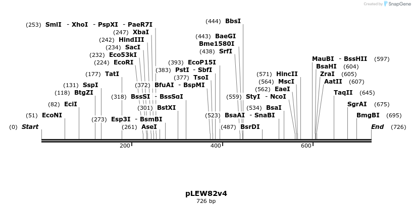 30002_map