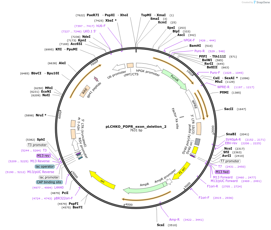 300023_map