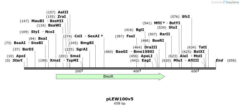 30005_map