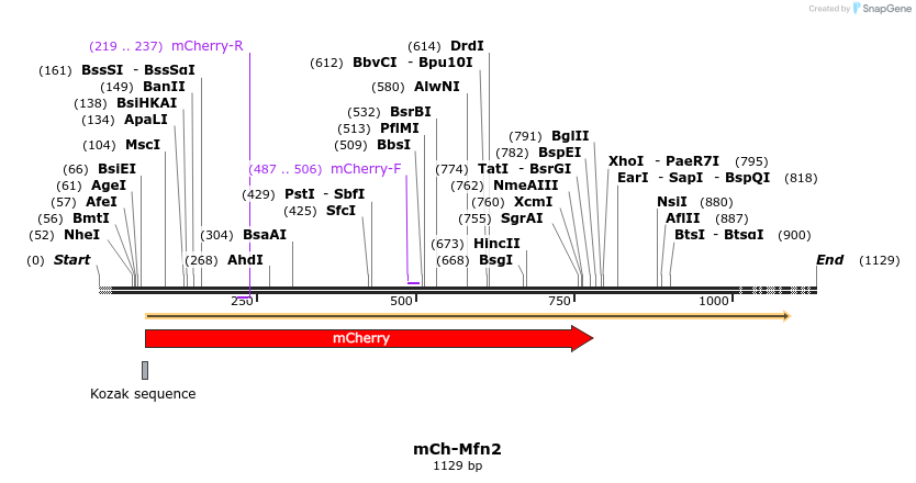 300101_map