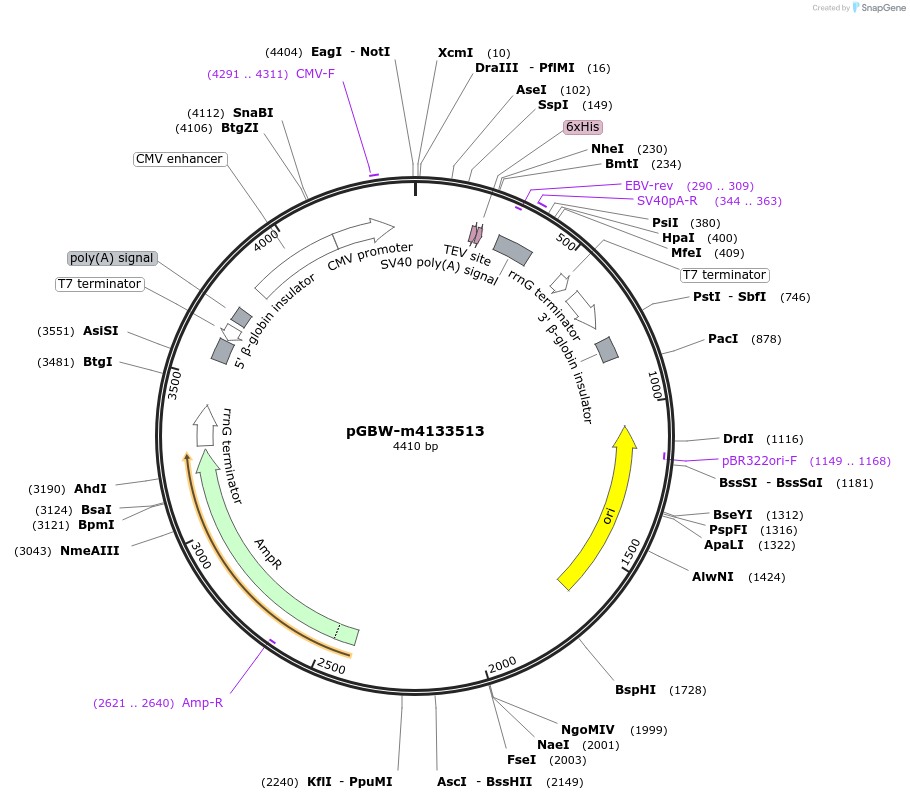 300129_map