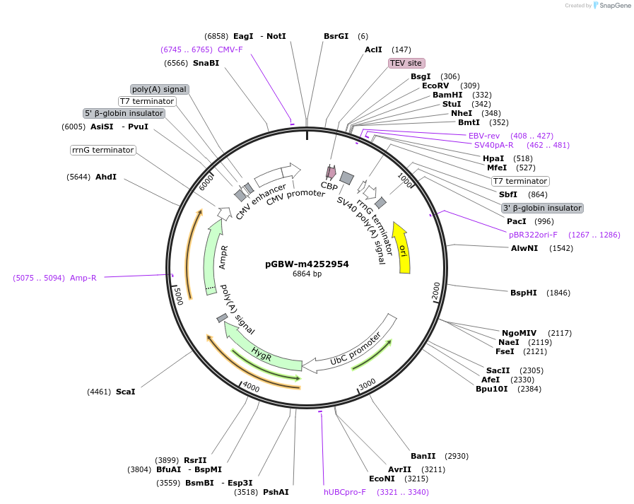 300142_map