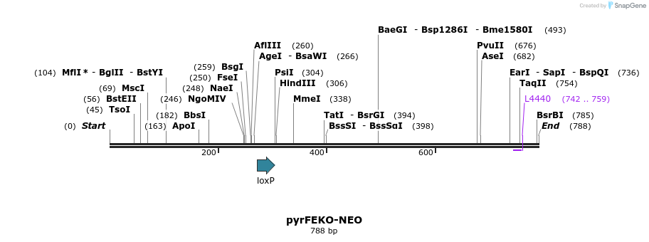 30015_map
