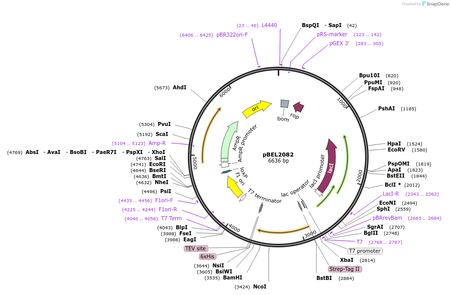 300154_map