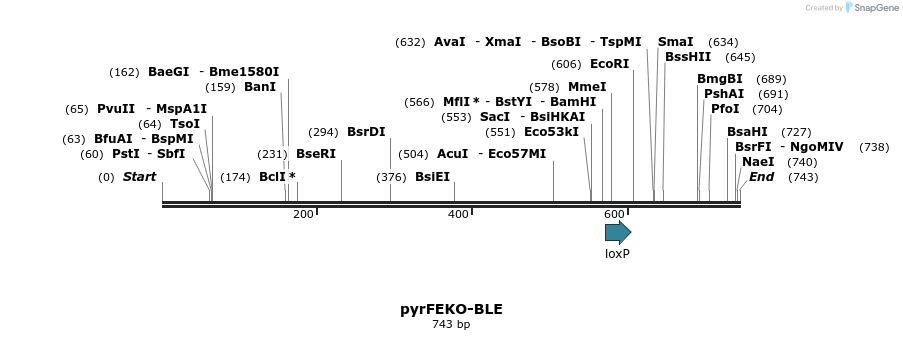 30016_map
