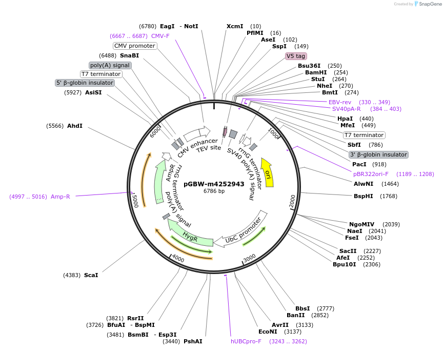300210_map