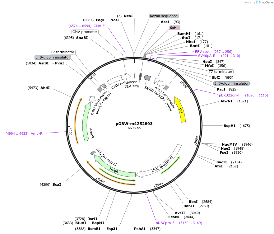 300212_map