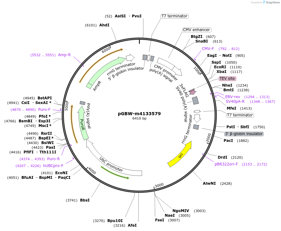 300230_map