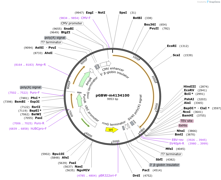 300237_map