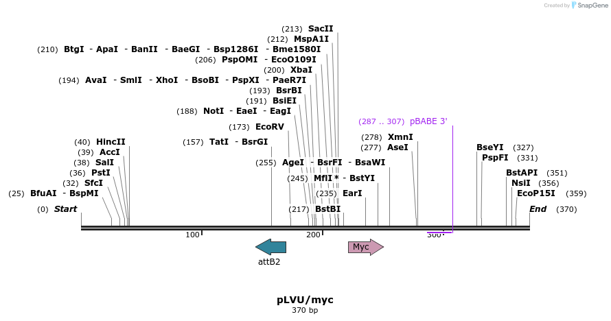 30027_map