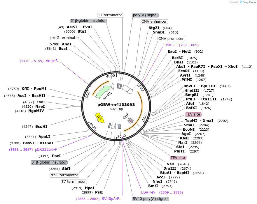 300271_map