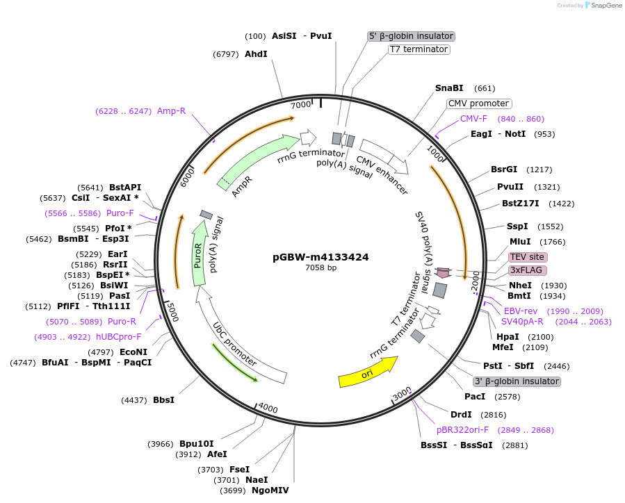 300272_map