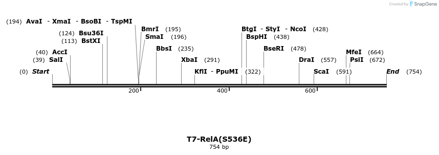 30029_map