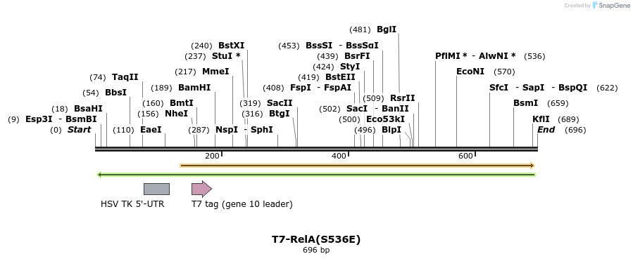 30030_map