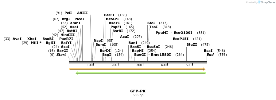 30031_map