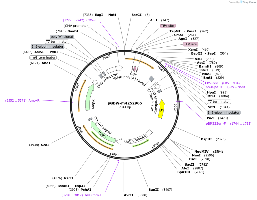 300314_map