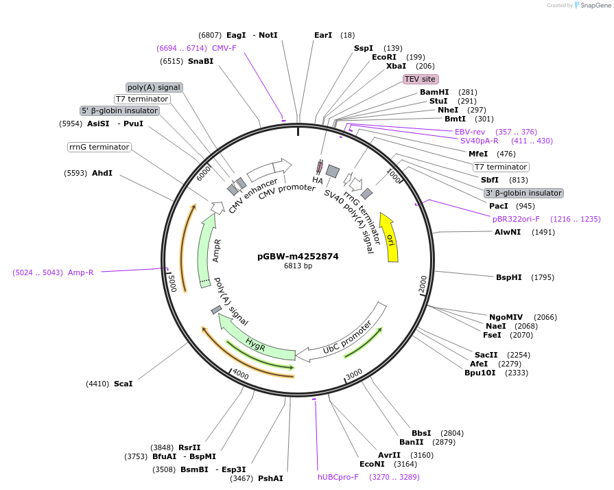 300315_map