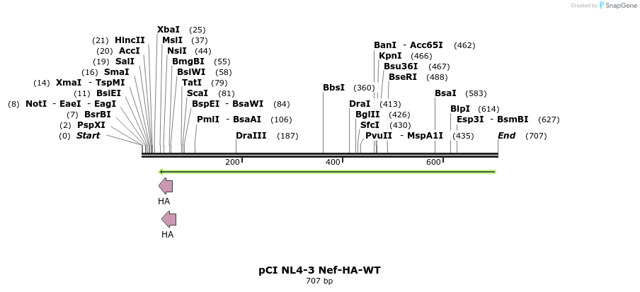 30032_map