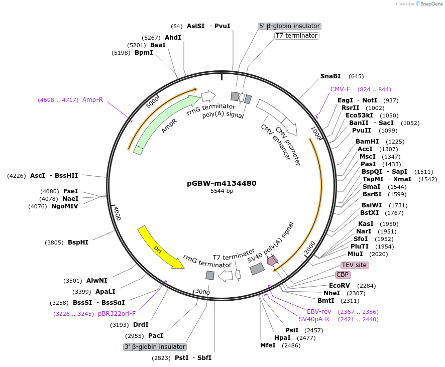 300327_map
