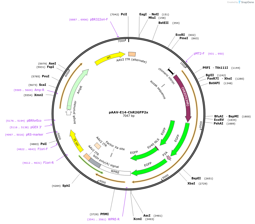 300332_map