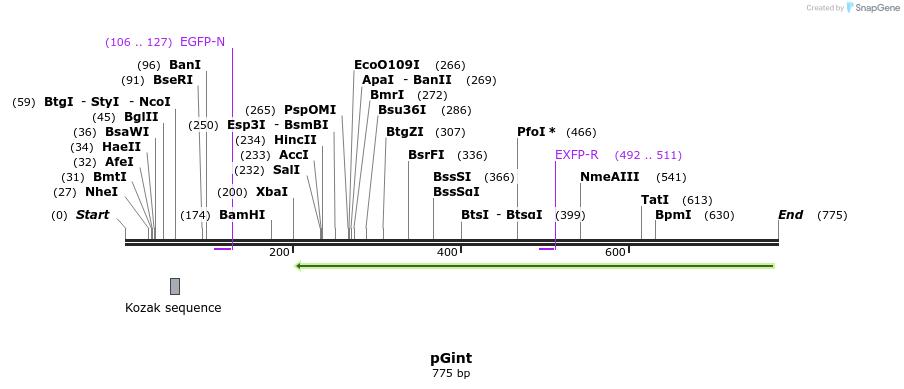 30034_map