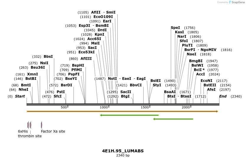 300342_map