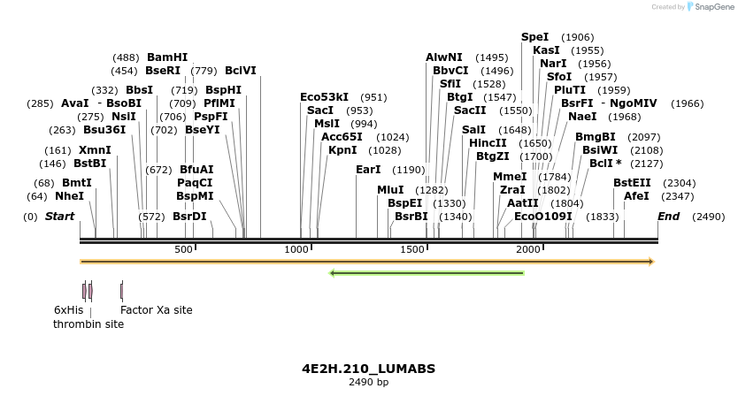 300343_map
