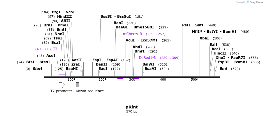 30035_map