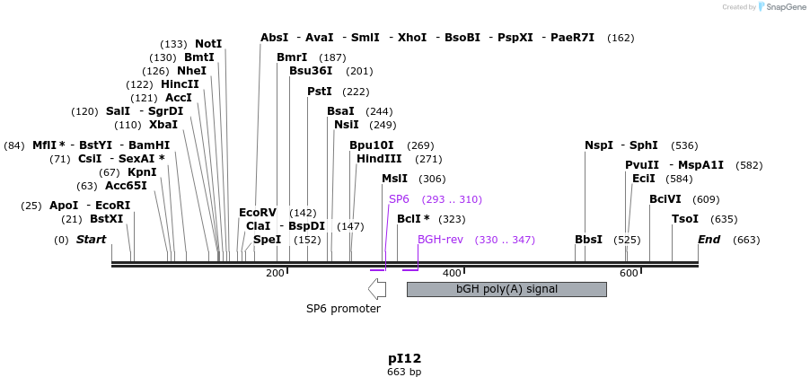 30036_map