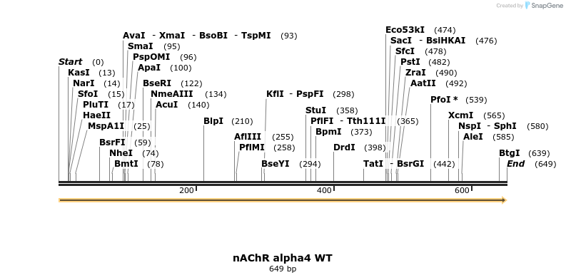 30037_map