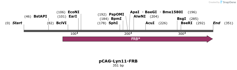 300381_map