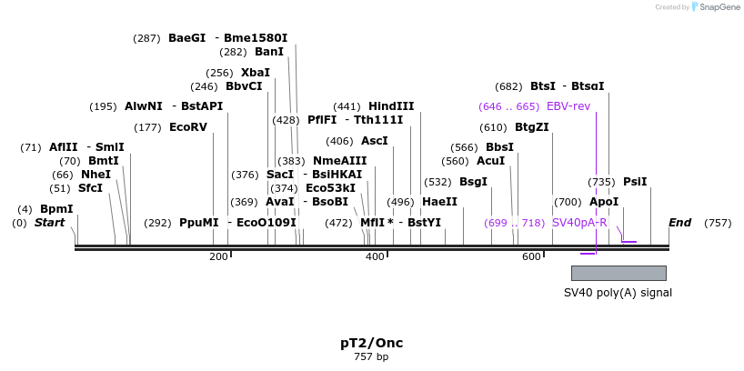 30039_map