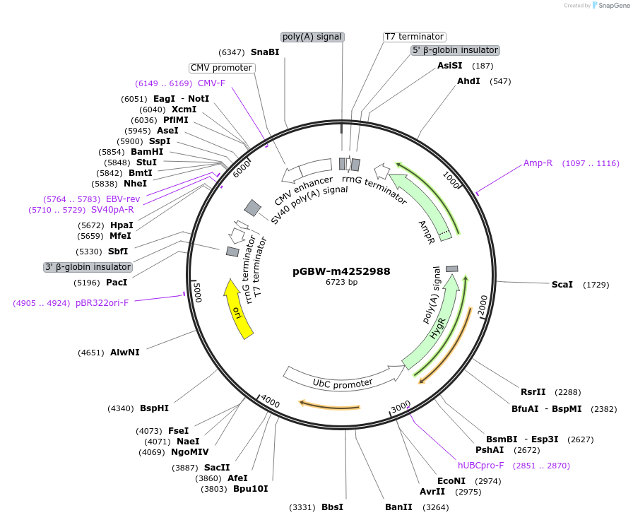 300407_map