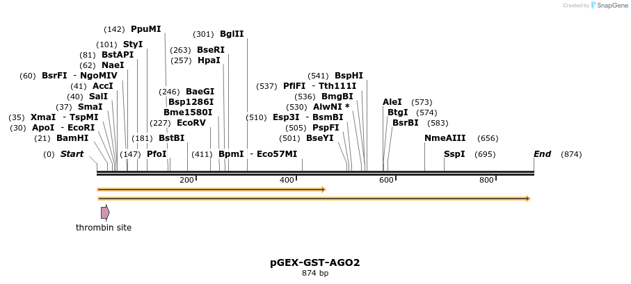 30042_map