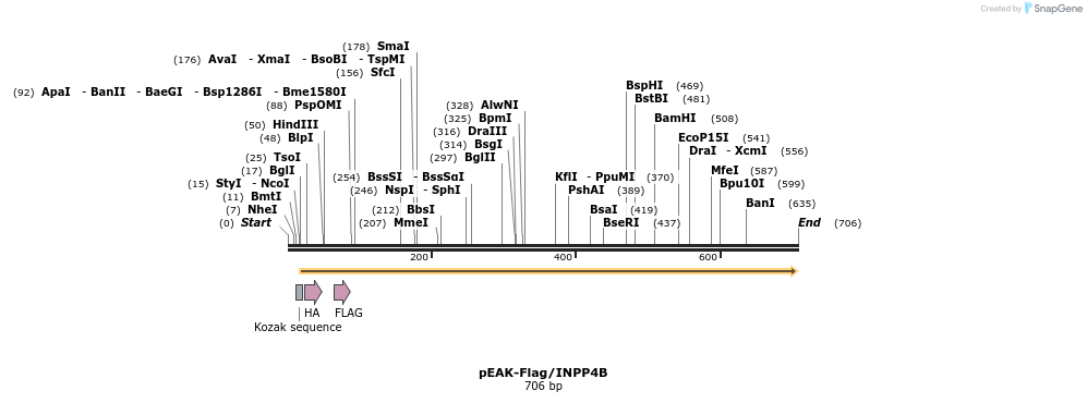 30053_map