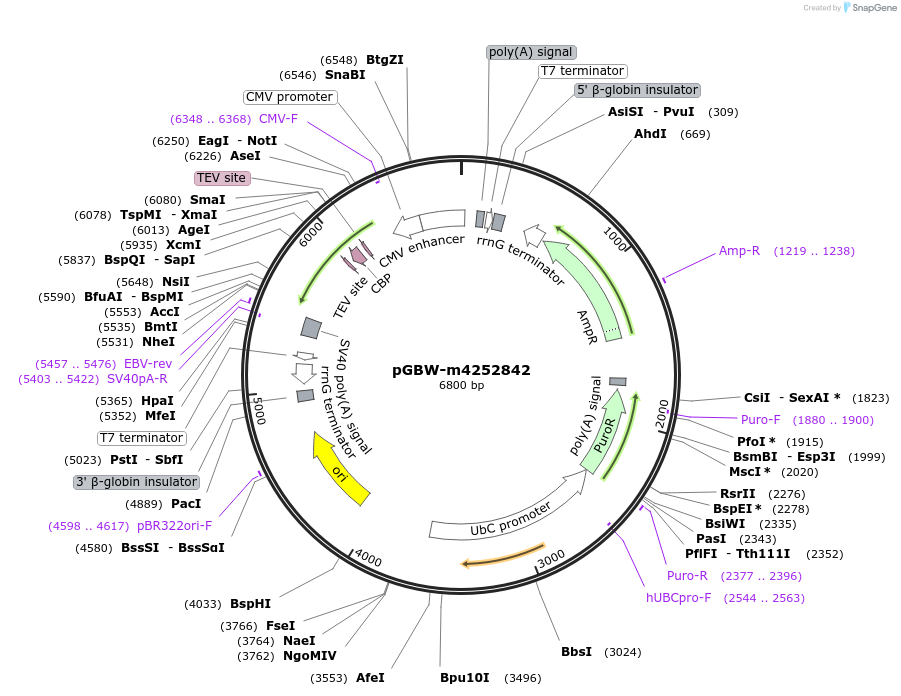 300567_map