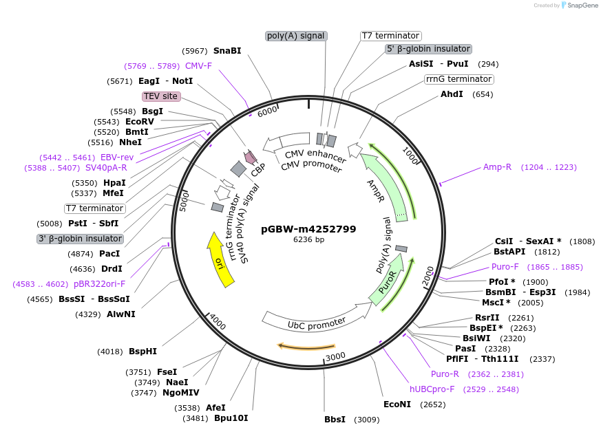 300571_map