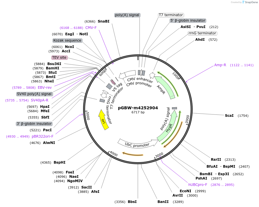 300572_map