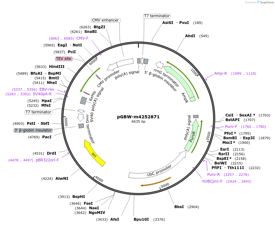 300592_map