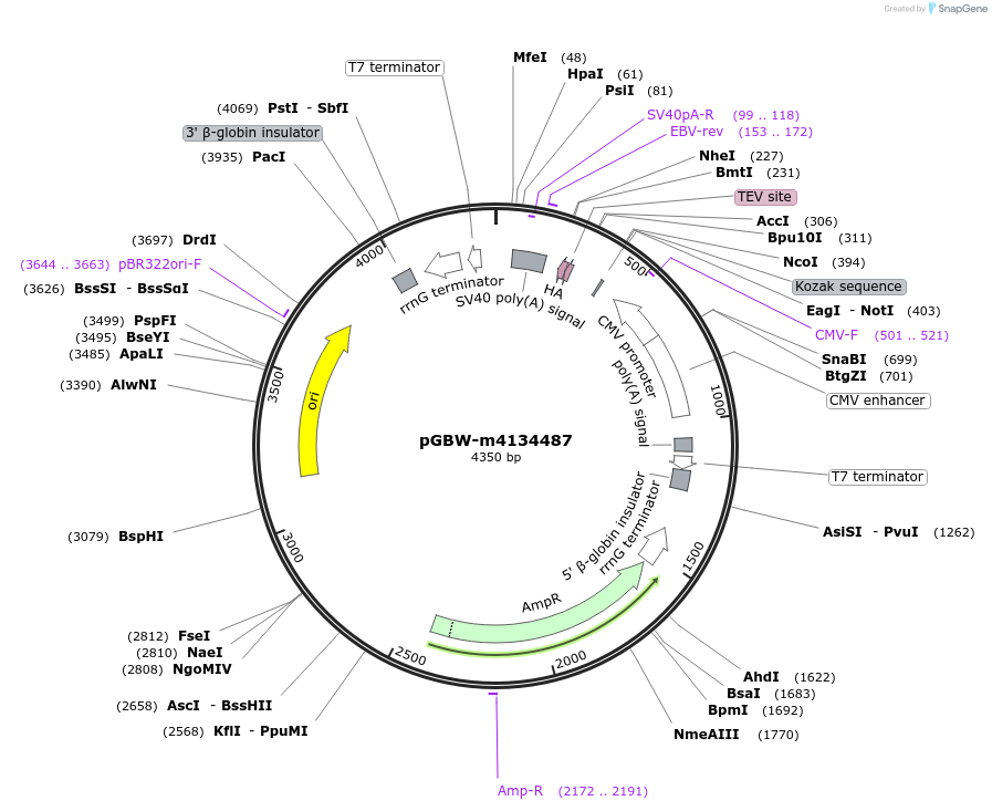 300597_map