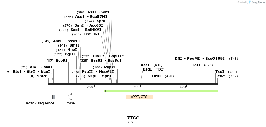 30060_map